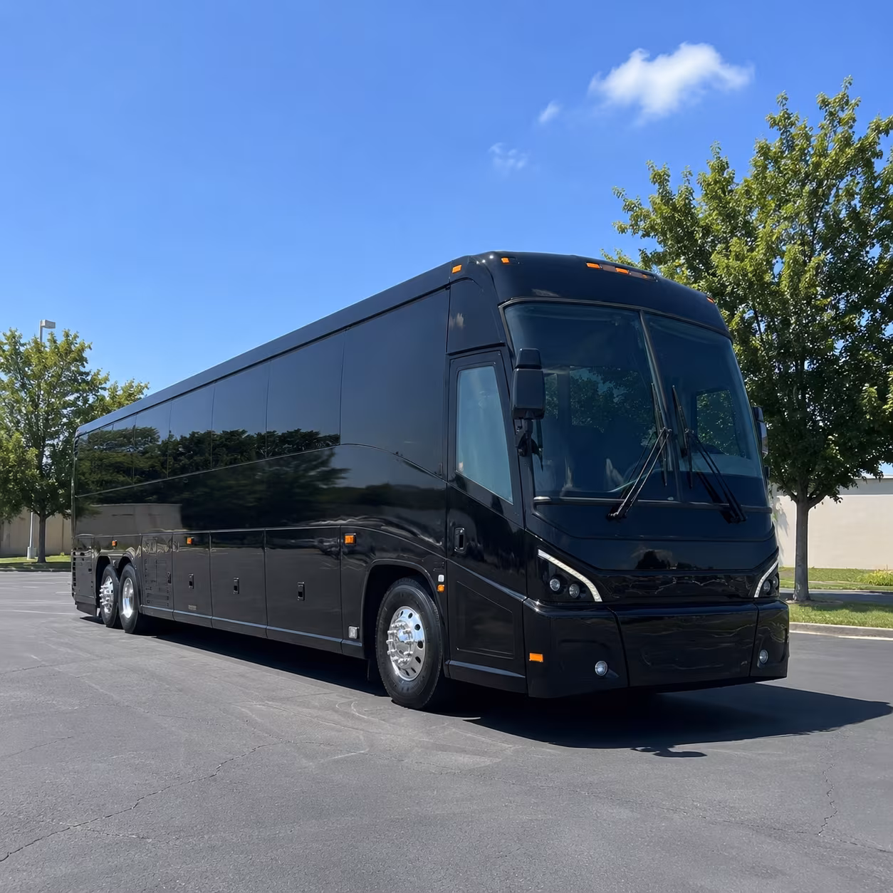 sequoia national forest and national park group bus rentals from porterville